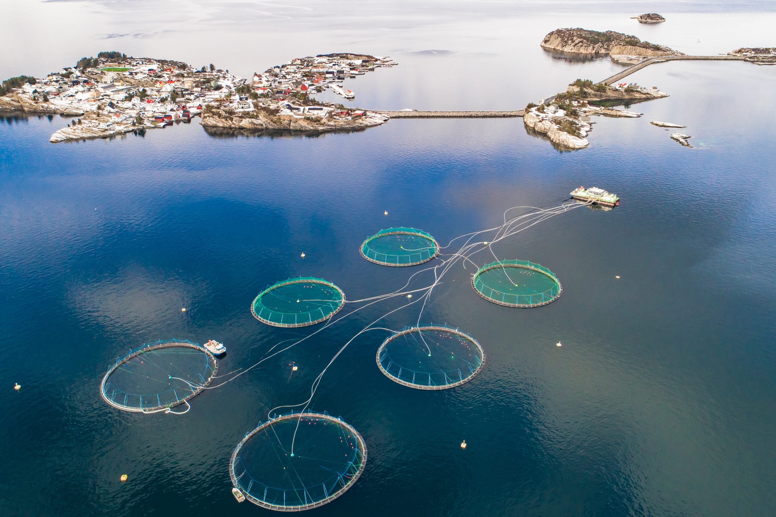 Aerial view of fish farming nets in a coastal area with buildings and water.